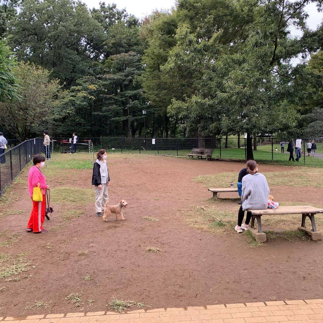 【世田谷区】蘆花恒春園