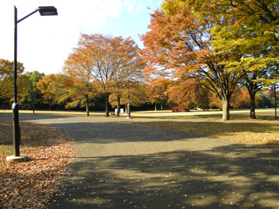 【小金井市】小金井公園