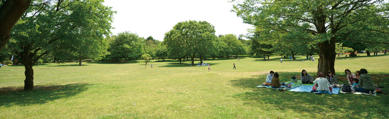 【国分寺市】武蔵国分寺公園