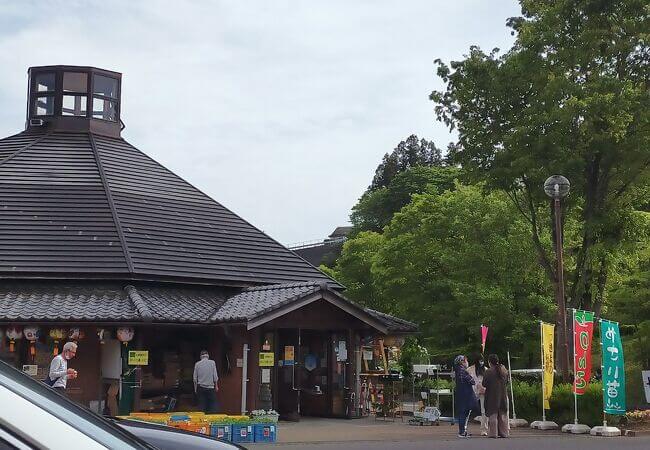 道の駅矢瀬親水公園
