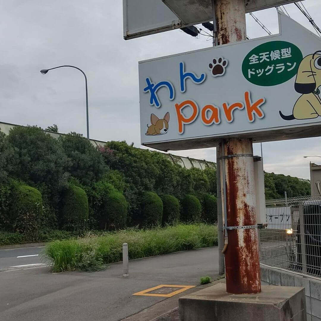 わんpark:全天候型のドッグラン施設
