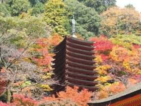 談山神社:ワンちゃんに優しい神社
