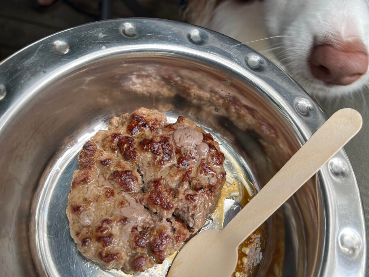 ムースヒルズバーガー|愛犬と楽しめる本格アメリカンバーガーのお店【山梨・犬同伴OK】