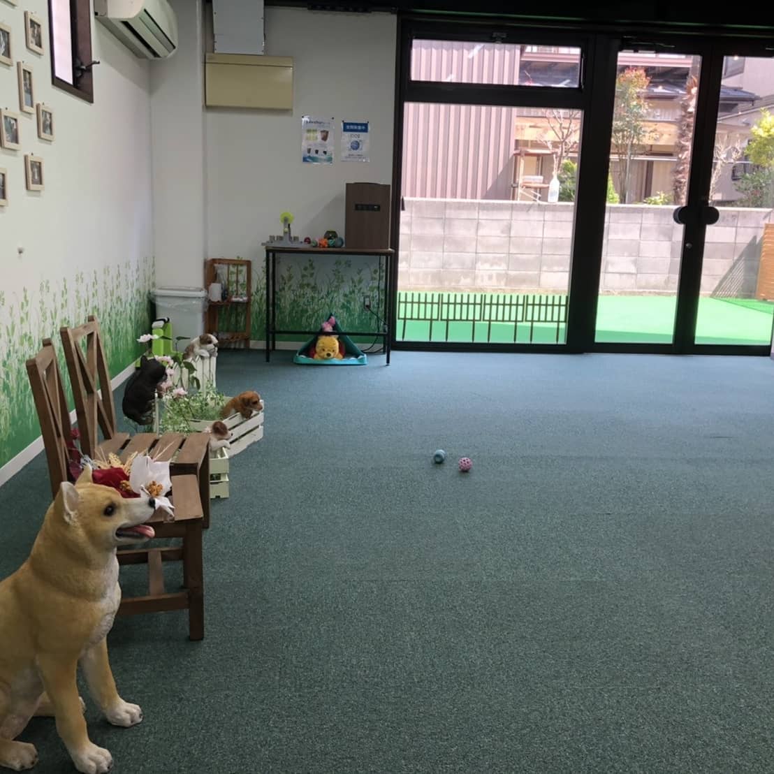 DOGRUNcafeプチ・プチ:屋内・屋外ドッグランのある複合施設