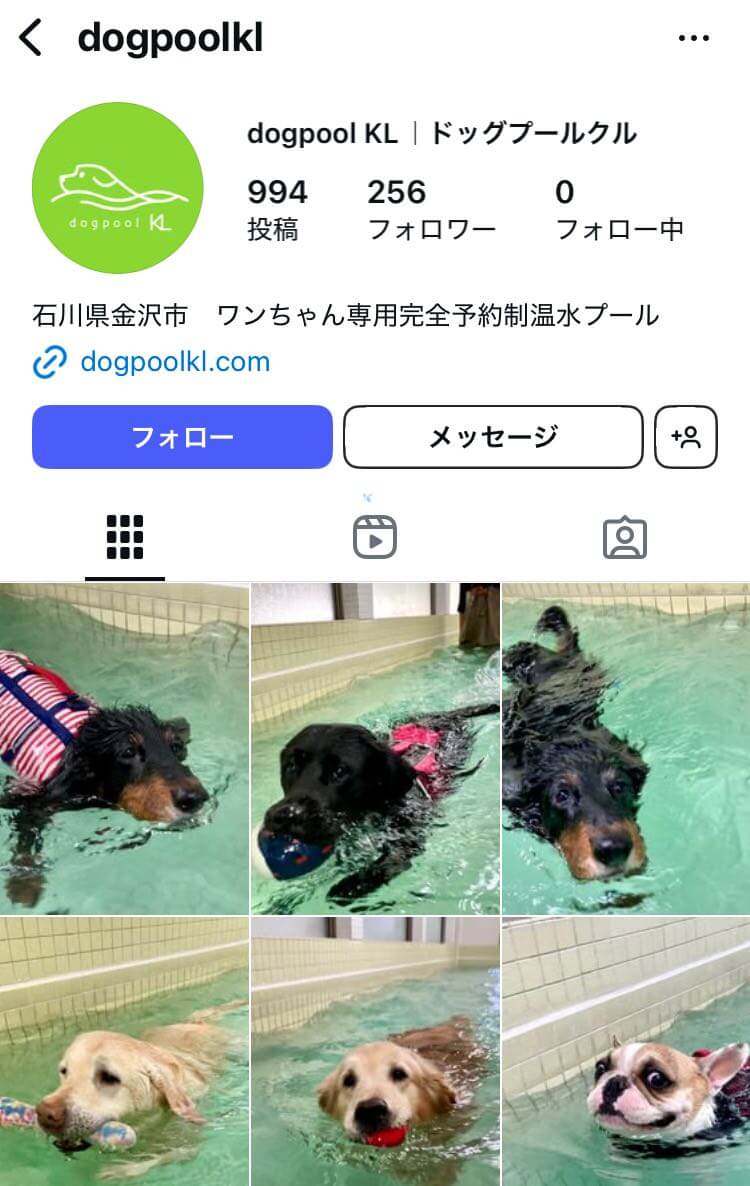 ドッグプール・クル:犬専用のプール施設