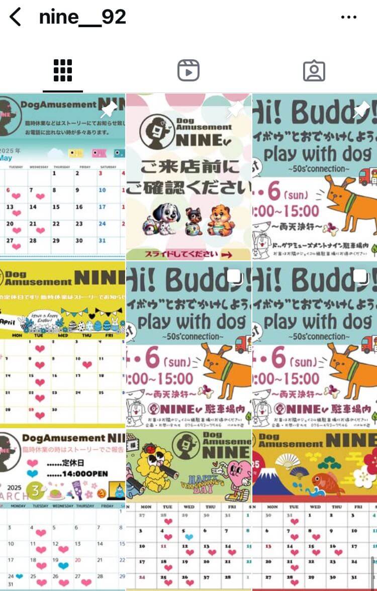 Dog Amusement NINE:北陸最大級の室内ドッグラン