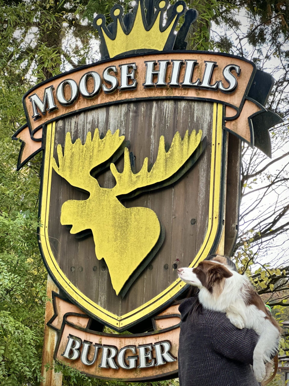 ムースヒルズバーガー|愛犬と楽しめる本格アメリカンバーガーのお店【山梨・犬同伴OK】