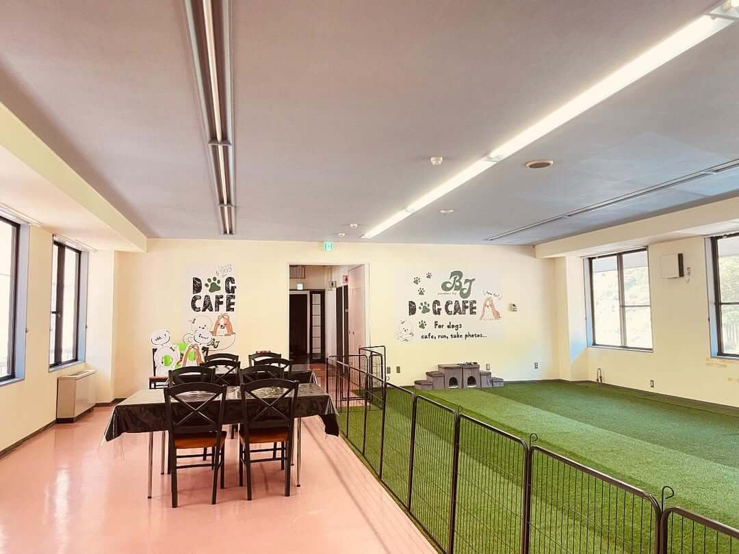 Dog Cafe BJ:室内大型ドッグラン