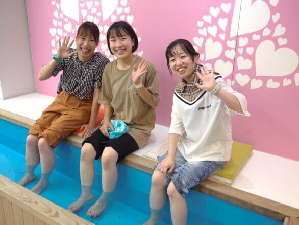 伊勢夫婦岩めおと横丁:ワンちゃんと一緒にお買い物