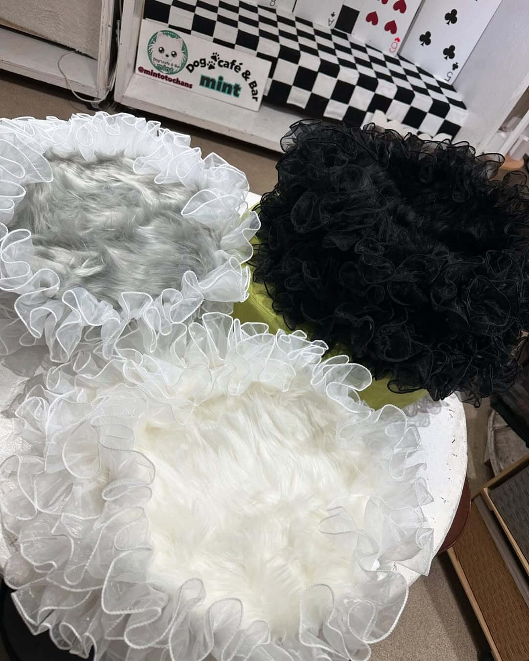 Dogcafé&Bar mint:完全予約制カフェ併設ドッグラン