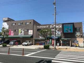ピースワン東住吉店:屋根付きドッグラン