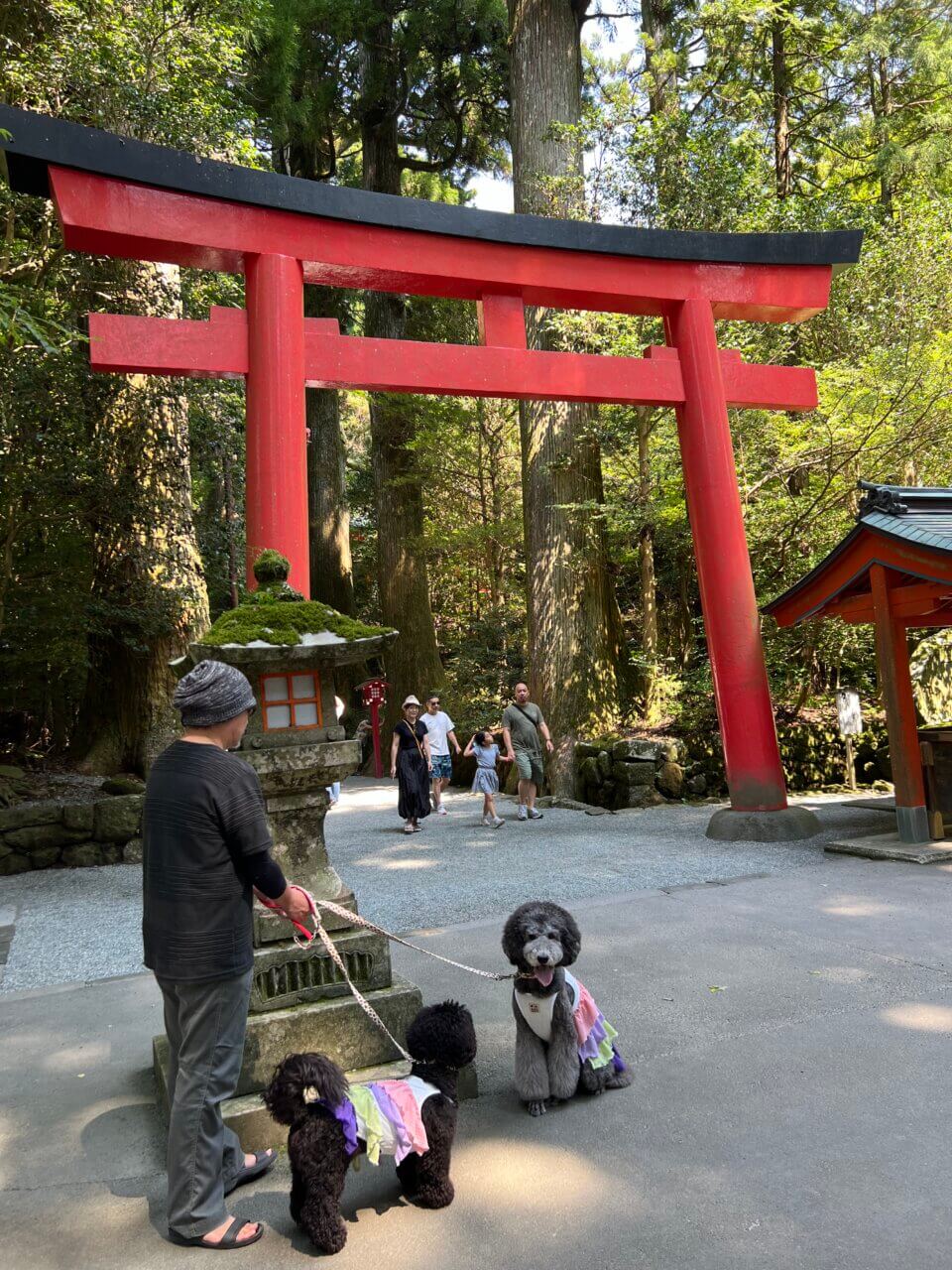 箱根神社&権現からめもち|愛犬と楽しめる参拝スポット&名物からめもち【神奈川・犬同伴OK】