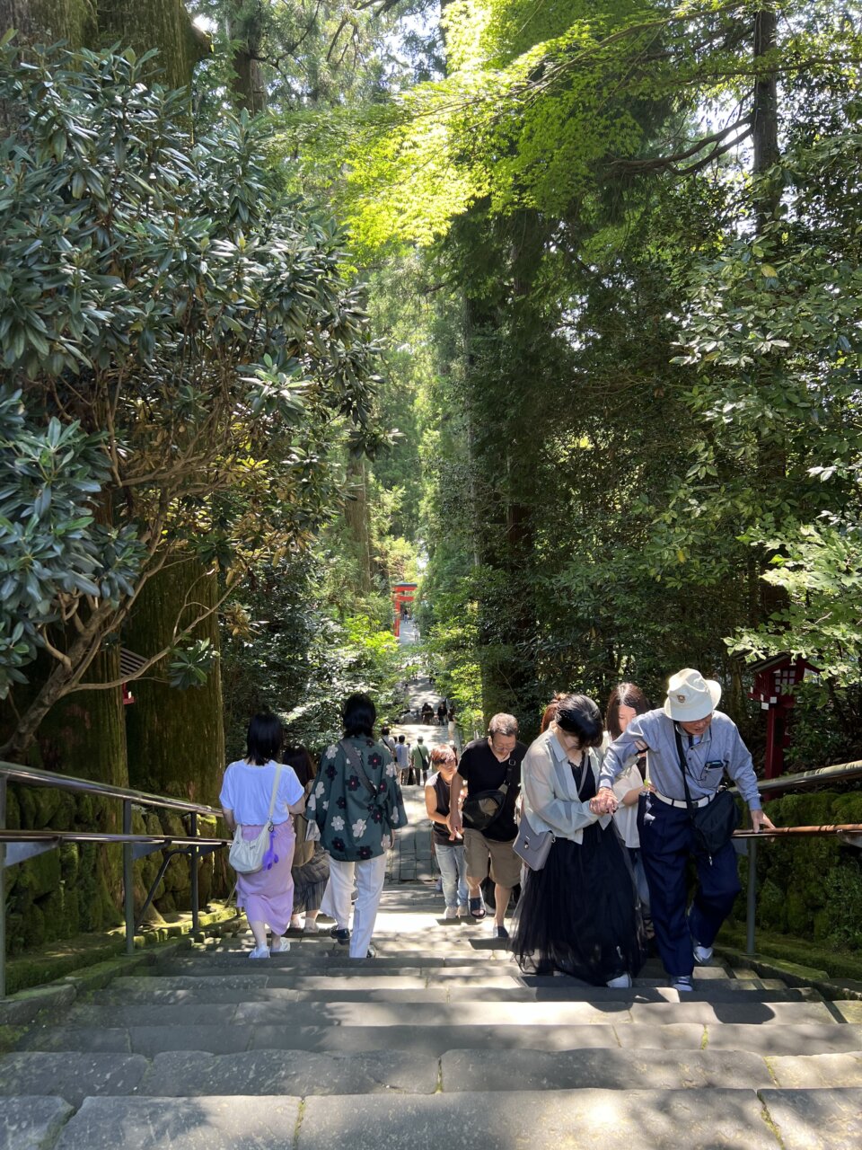 箱根神社&権現からめもち|愛犬と楽しめる参拝スポット&名物からめもち【神奈川・犬同伴OK】
