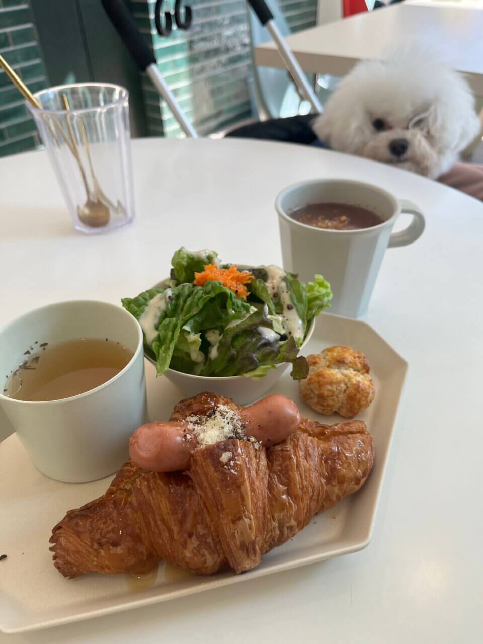 CAFE&BAKE Lily’s|流山で愛犬とくつろげる焼き菓子カフェ【千葉・犬同伴OK】