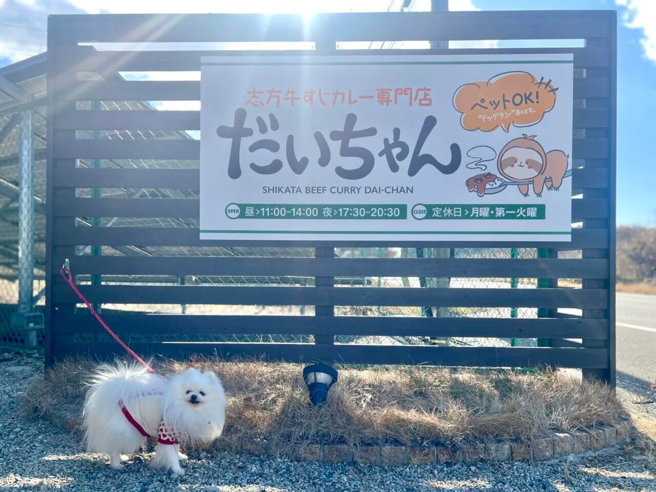 志方牛すじカレー専門店だいちゃん|室内ドッグラン併設!愛犬と楽しむ本格牛すじカレー【兵庫・犬同伴OK】