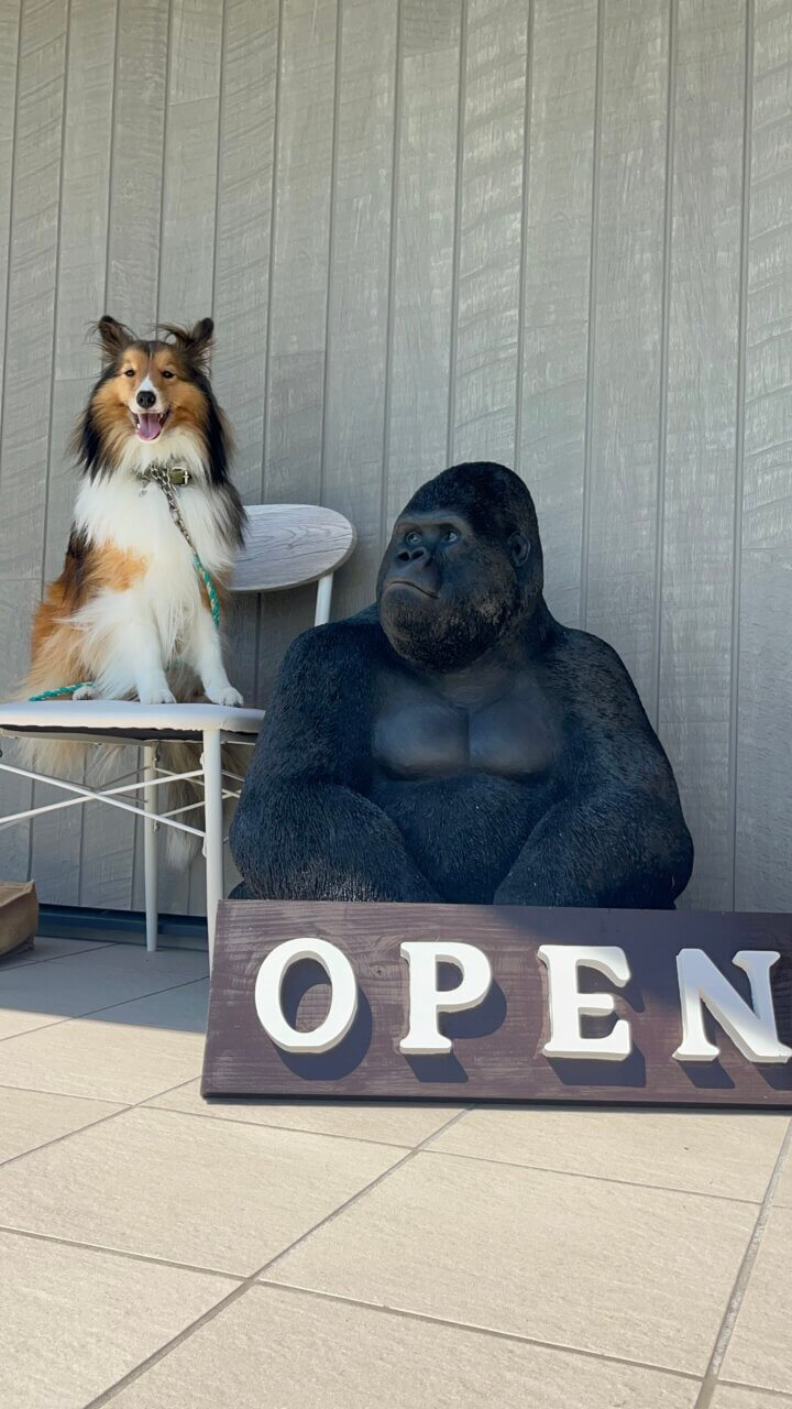 02glee|北潟湖を望む絶景カフェ【福井・犬同伴OK】愛犬と楽しめる人気スポット
