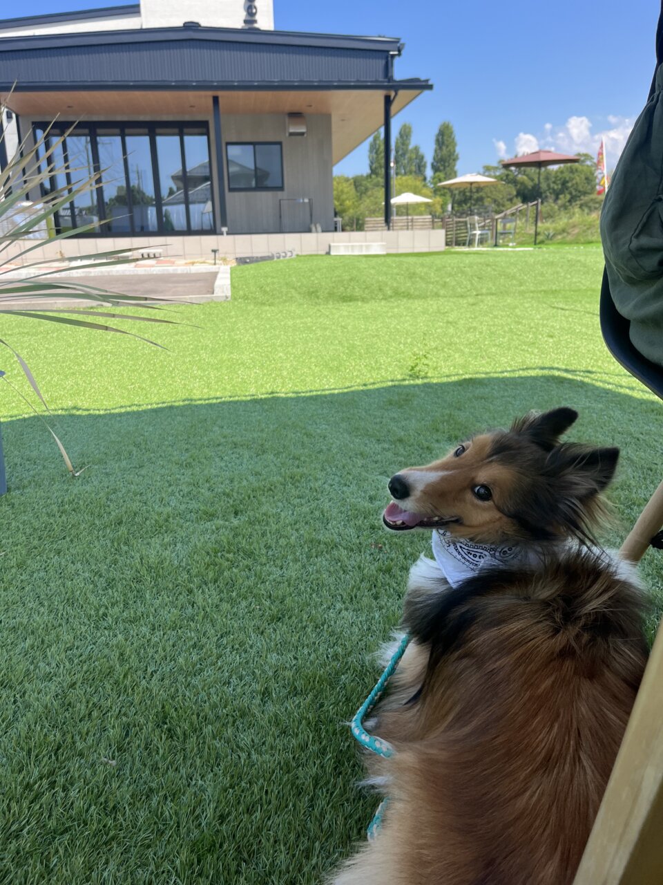 02glee|北潟湖を望む絶景カフェ【福井・犬同伴OK】愛犬と楽しめる人気スポット