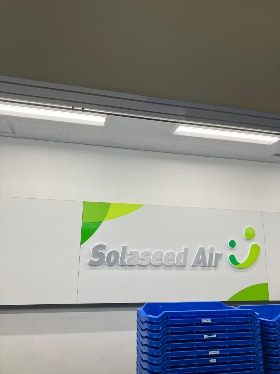 羽田空港〜那覇空港|愛犬と一緒に初めての飛行機体験!空港内の過ごし方と旅の感想【犬同伴OK】