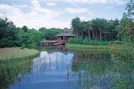 国営ひたち海浜公園