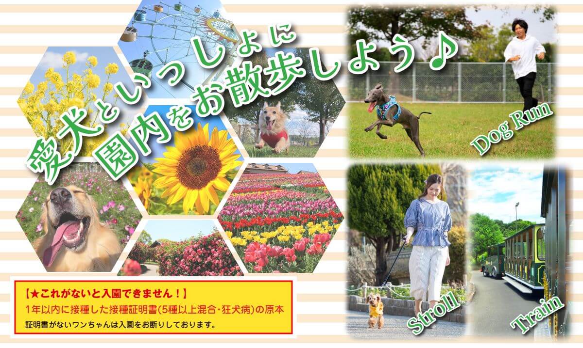 ハーベストの丘