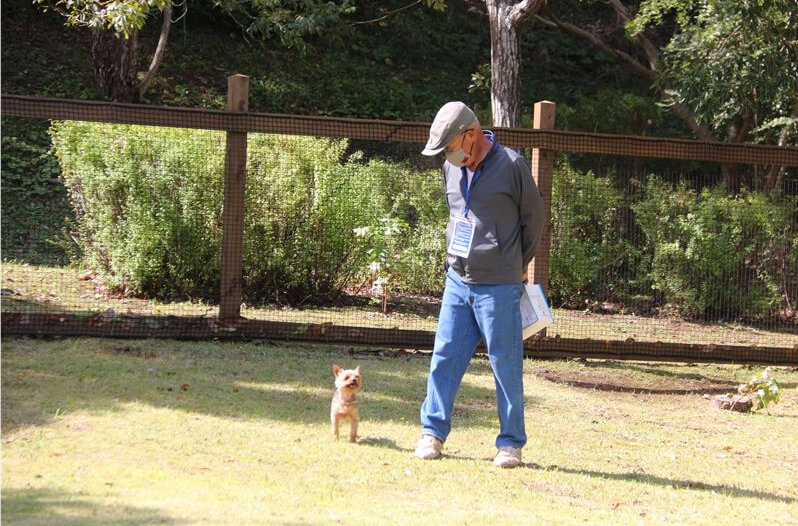 河津バガテル公園