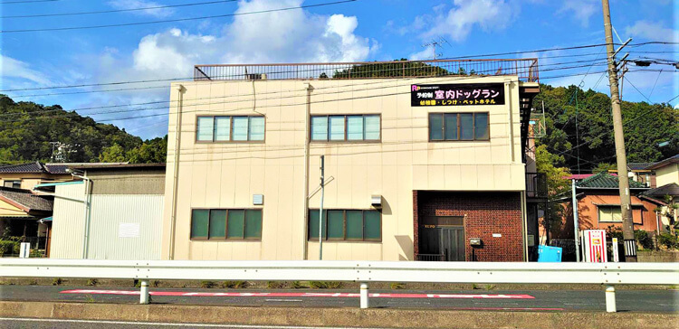DOG HOUSE RUPO:完全予約制室内ドッグラン