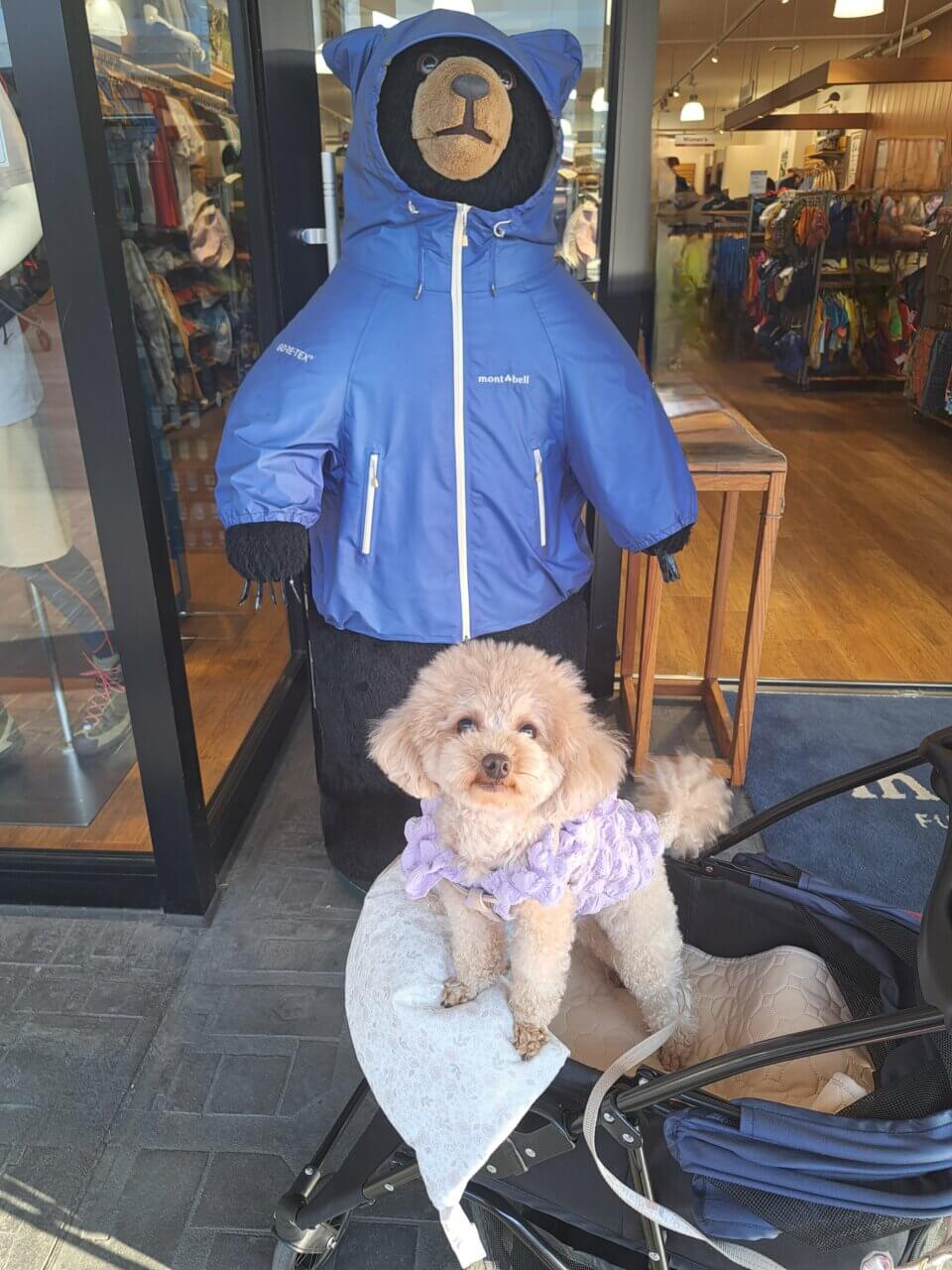 三井アウトレットパーク木更津|犬同伴OKでショッピングも楽しめる【千葉・愛犬と一緒に】人気アウトレットモール