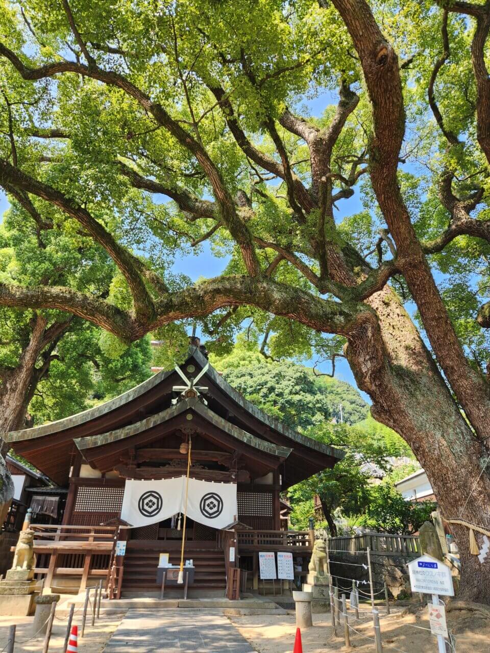 尾道|愛犬と楽しむ絶景スポットめぐり【広島・犬同伴OK】千光寺・ロープウェイ・カフェなど観光モデルコース