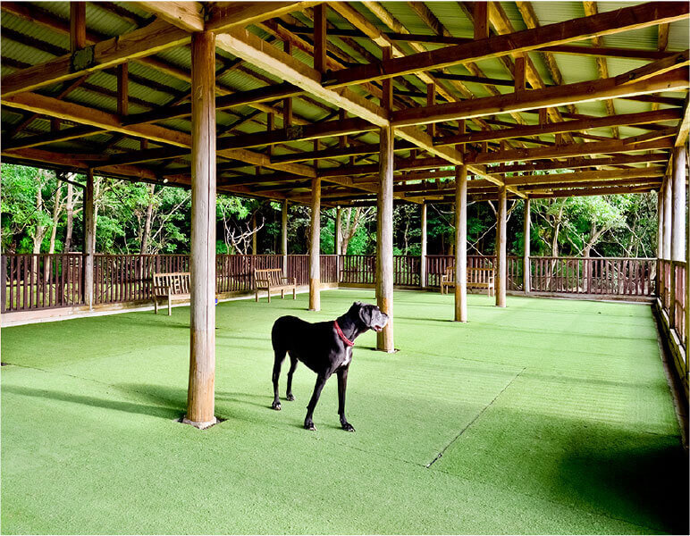 パートナーズハウスゆあさ:愛犬と宿泊ができる総合レジャー施設