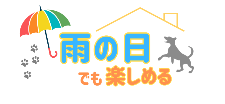 雨の日でも楽しめる