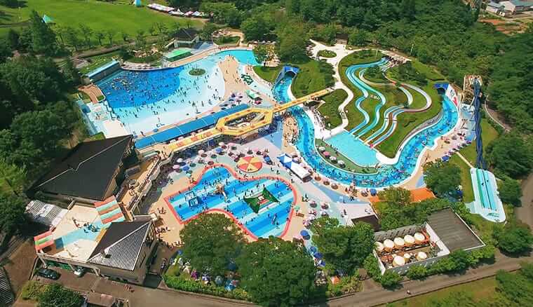 県民公園太閤山ランド:小型犬専用のドッグラン有