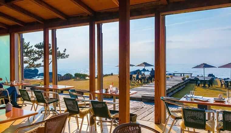 cafe Mare:全席テラス席で愛犬同伴OK