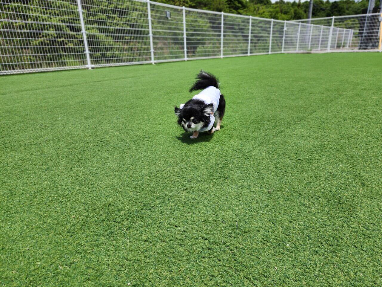 道の駅 西条のん太の酒蔵｜愛犬と立ち寄れる酒都・東広島の新名所【広島・犬同伴OK】