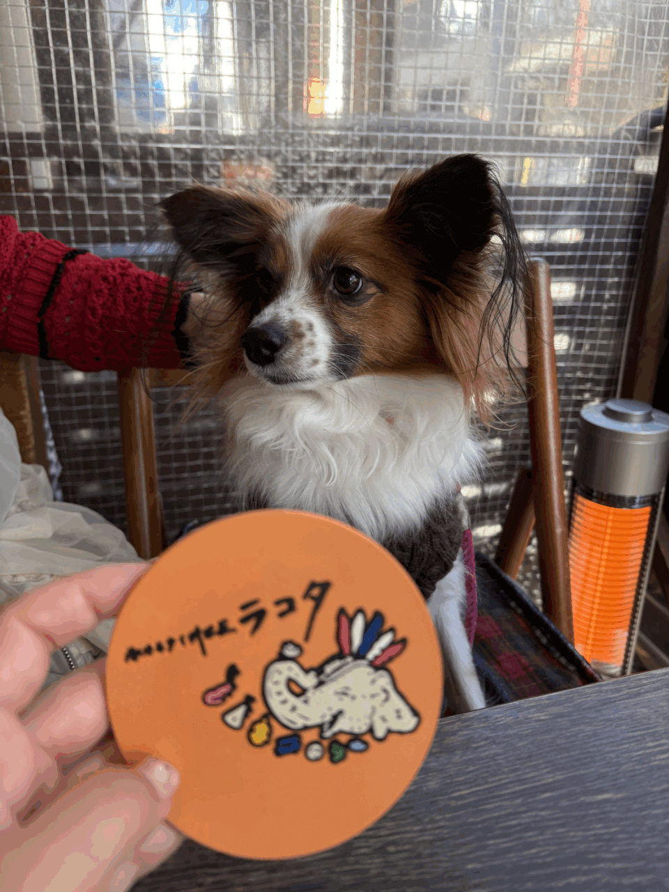 吞めるタイ料理屋 ラコタ|吉祥寺で楽しむ本格タイ料理&お酒【東京・犬同伴OK】