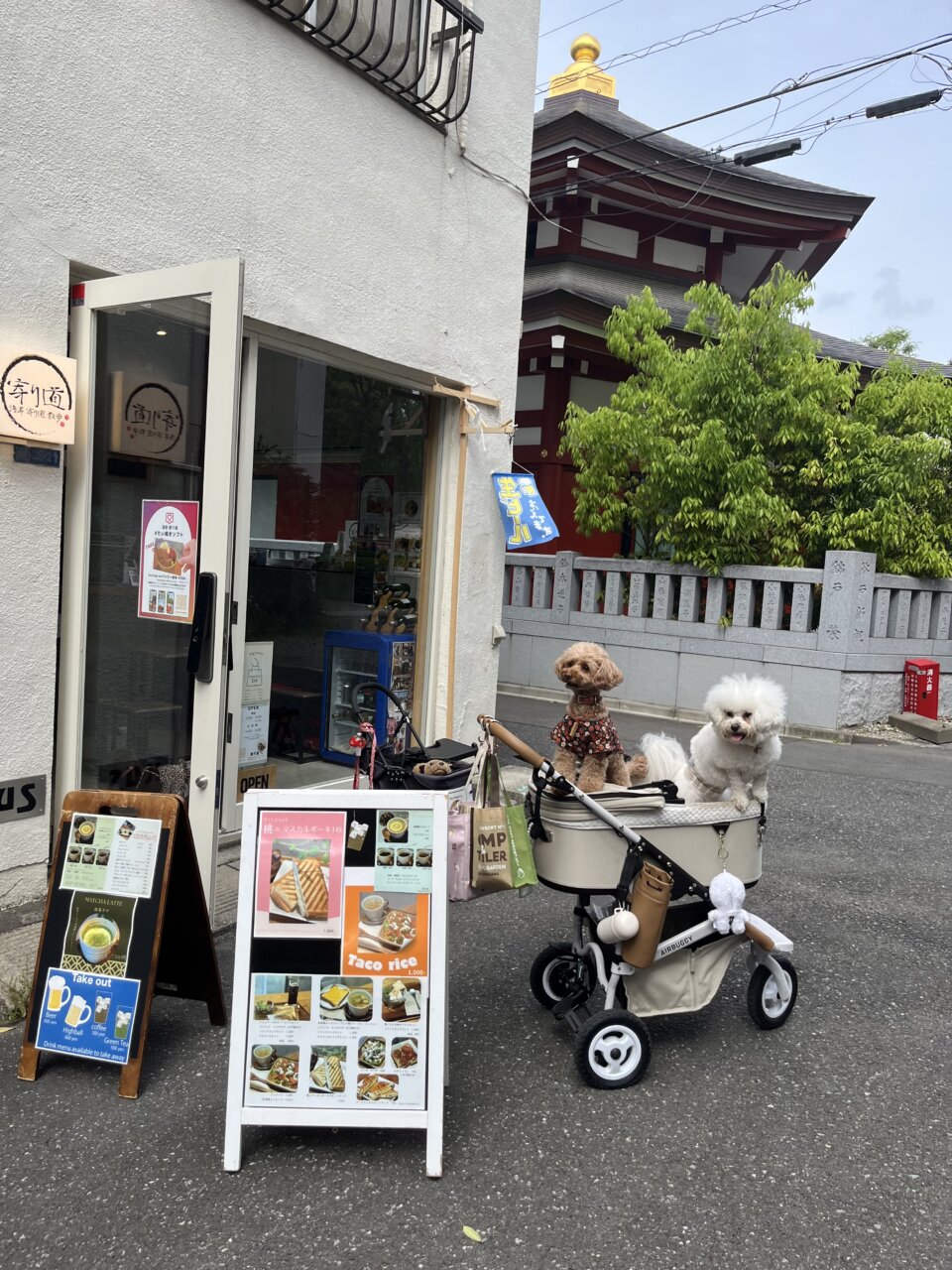 浅草 寄り道|愛犬と浅草観光&カフェタイム【犬同伴OK】