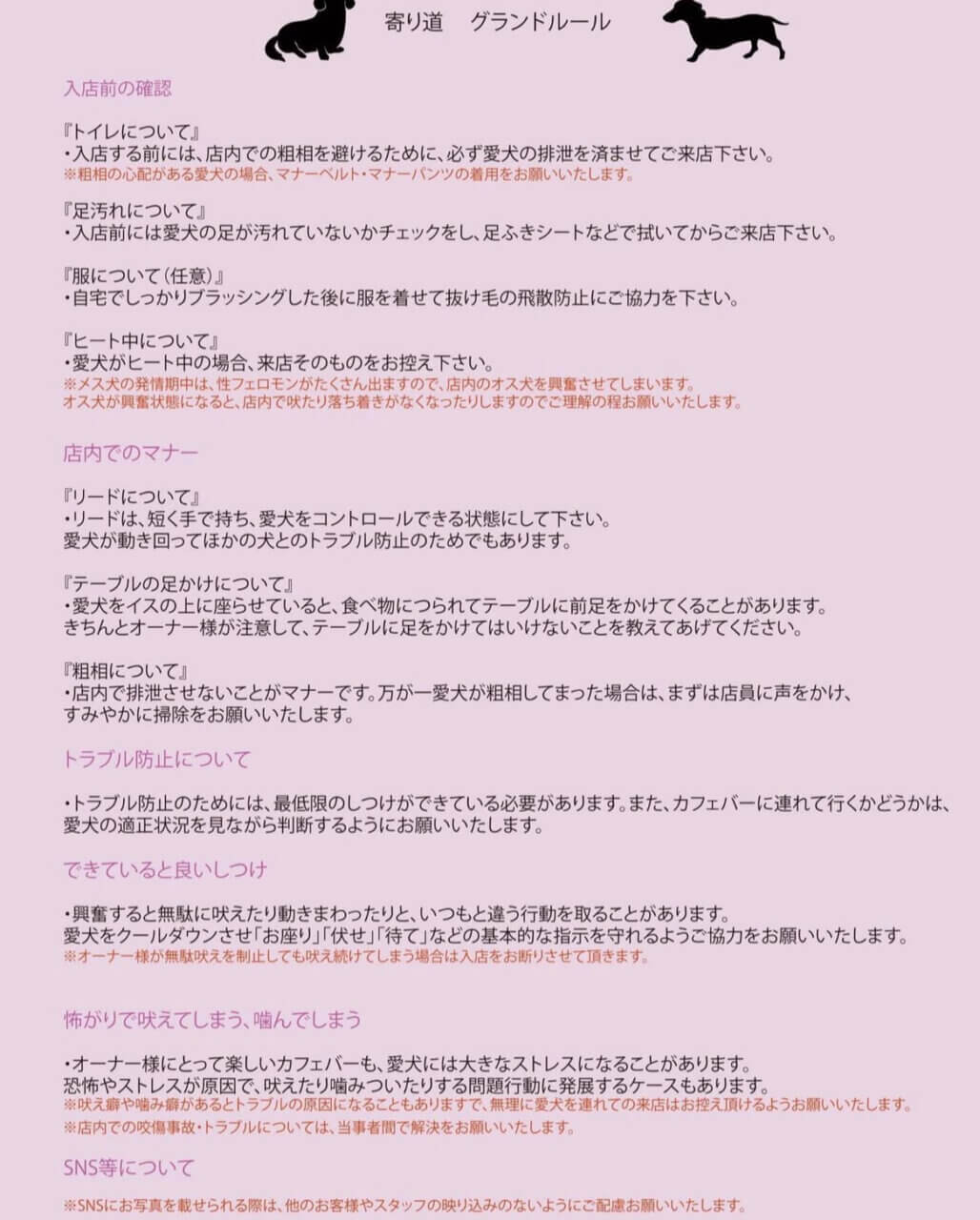浅草 寄り道|愛犬と浅草観光&カフェタイム【犬同伴OK】