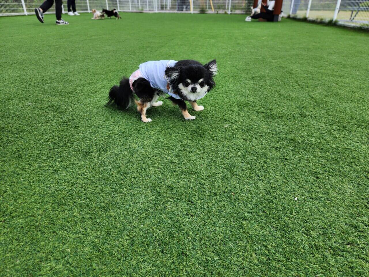 道の駅 西条のん太の酒蔵｜愛犬と立ち寄れる酒都・東広島の新名所【広島・犬同伴OK】