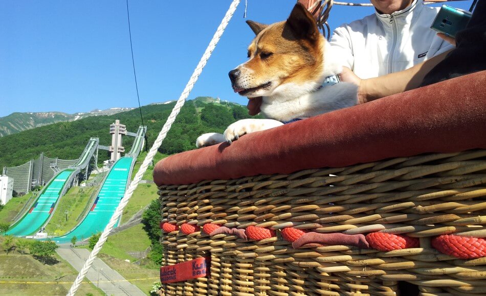 白馬ライオンアドベンチャー