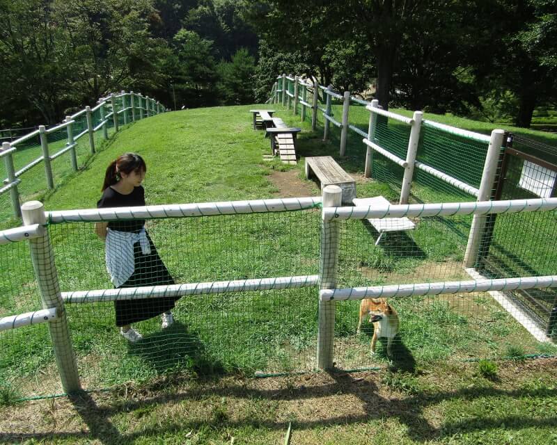 鳥居平やまびこ公園