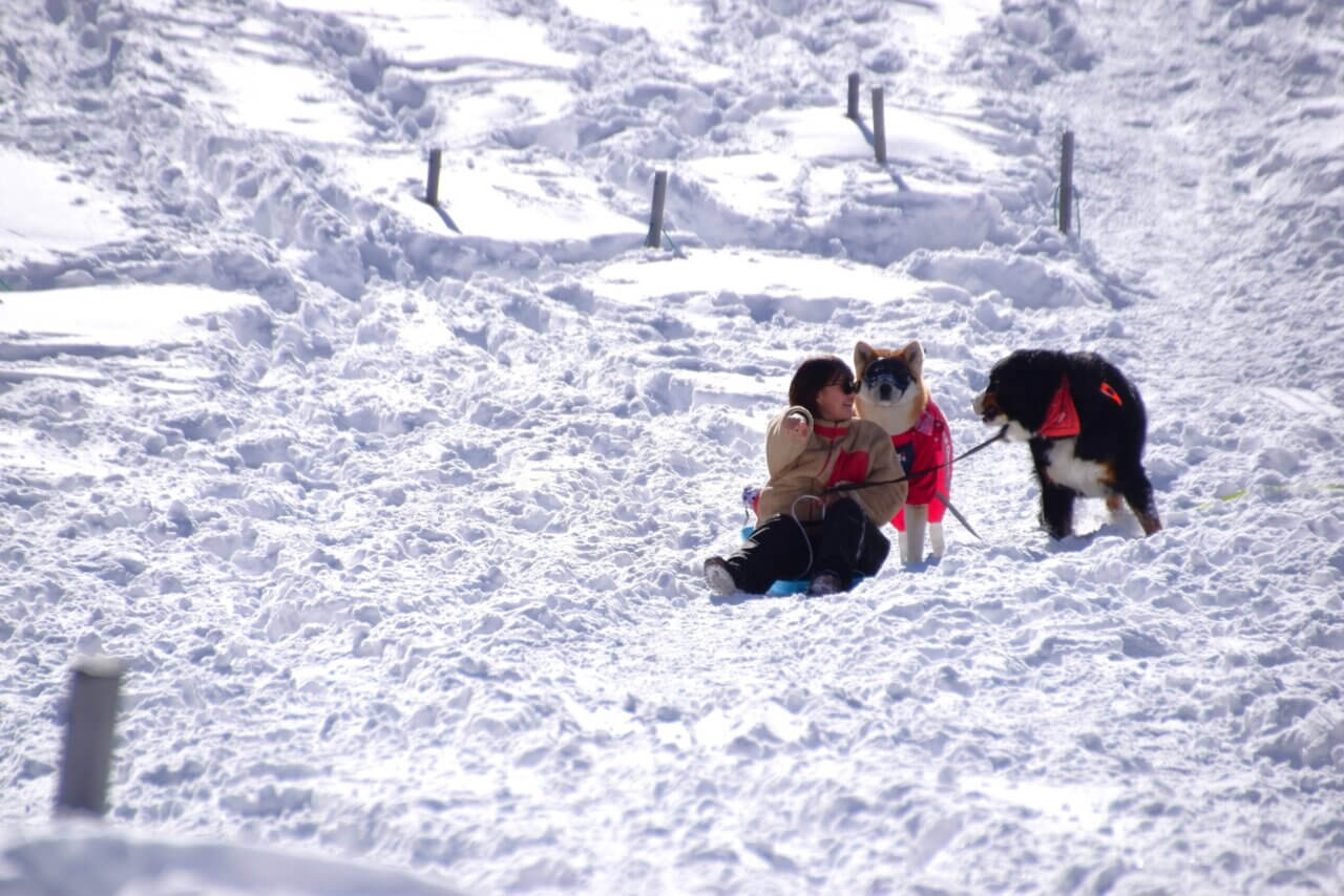 富士見パノラマリゾート