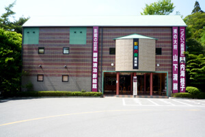 昇仙峡 影絵の森美術館(山梨県)