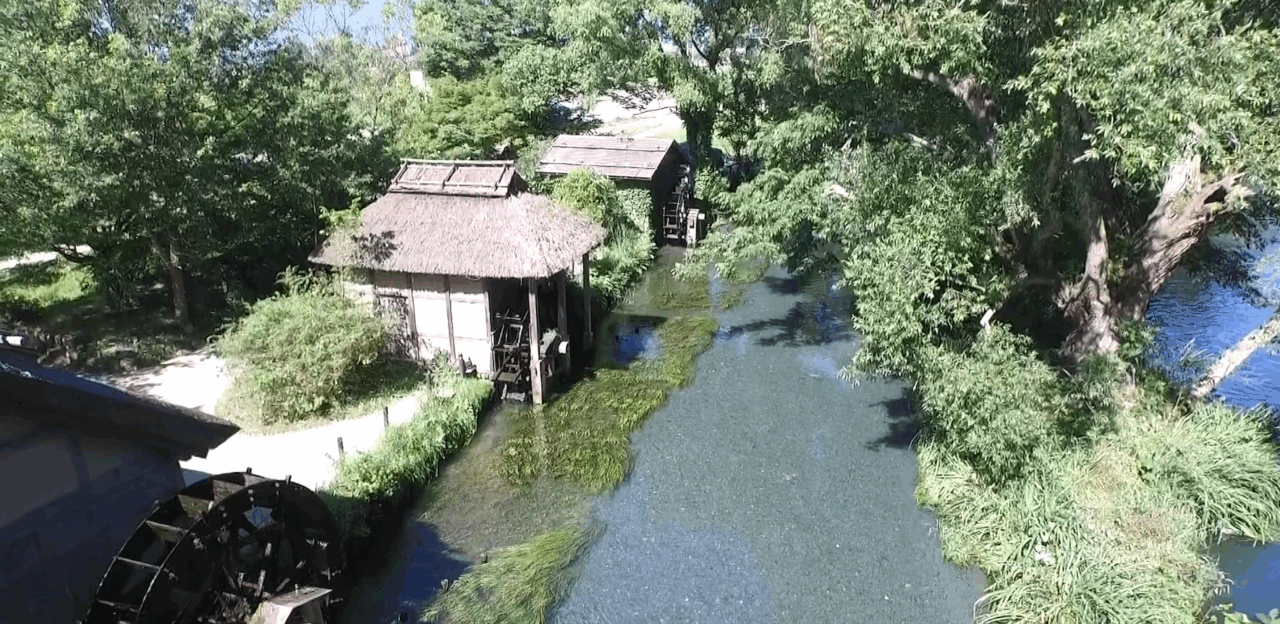 大王わさび農場