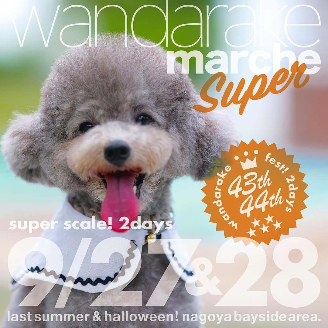 wandarakre fest! 43 &44
