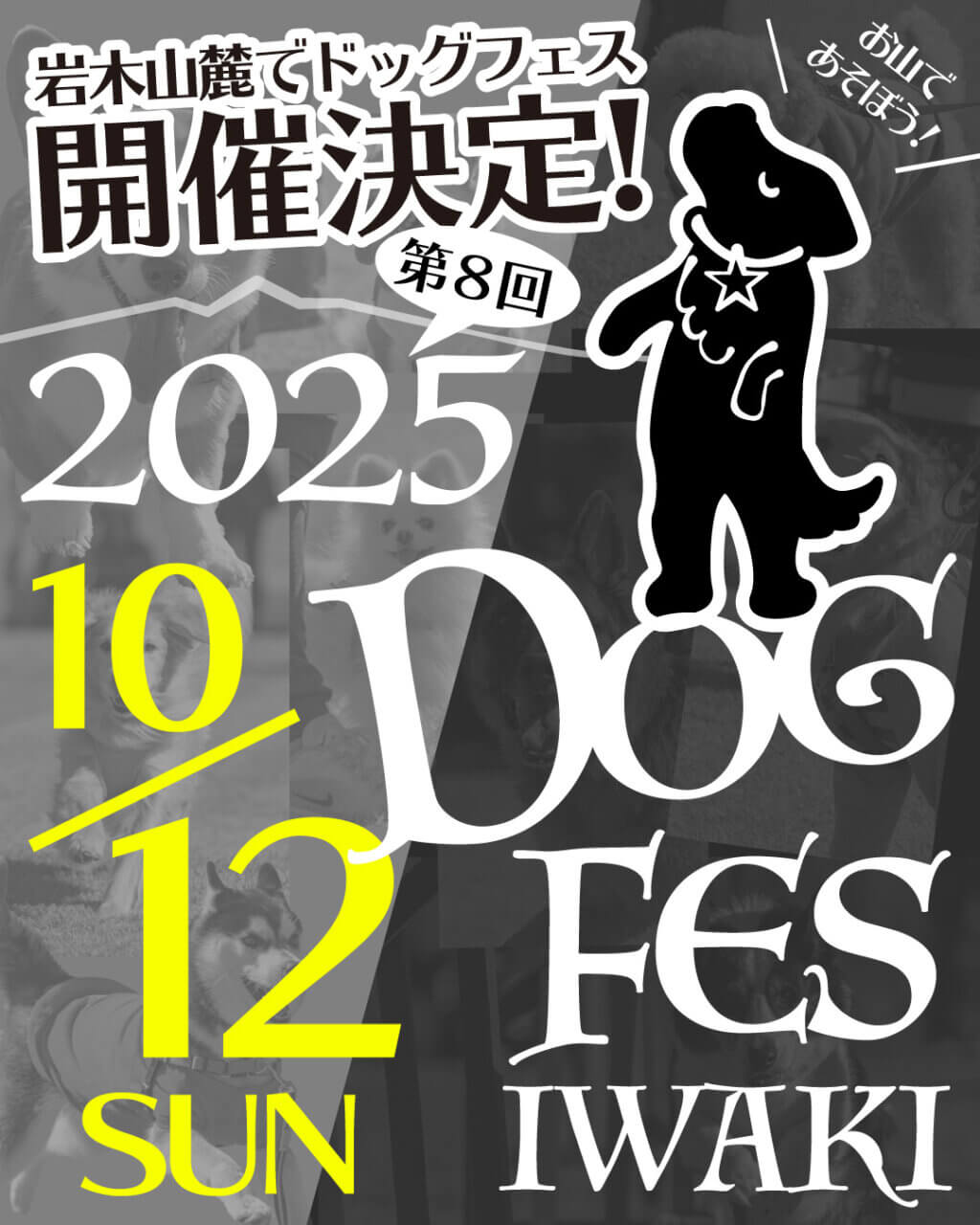 DOG FES IWAKI 2025