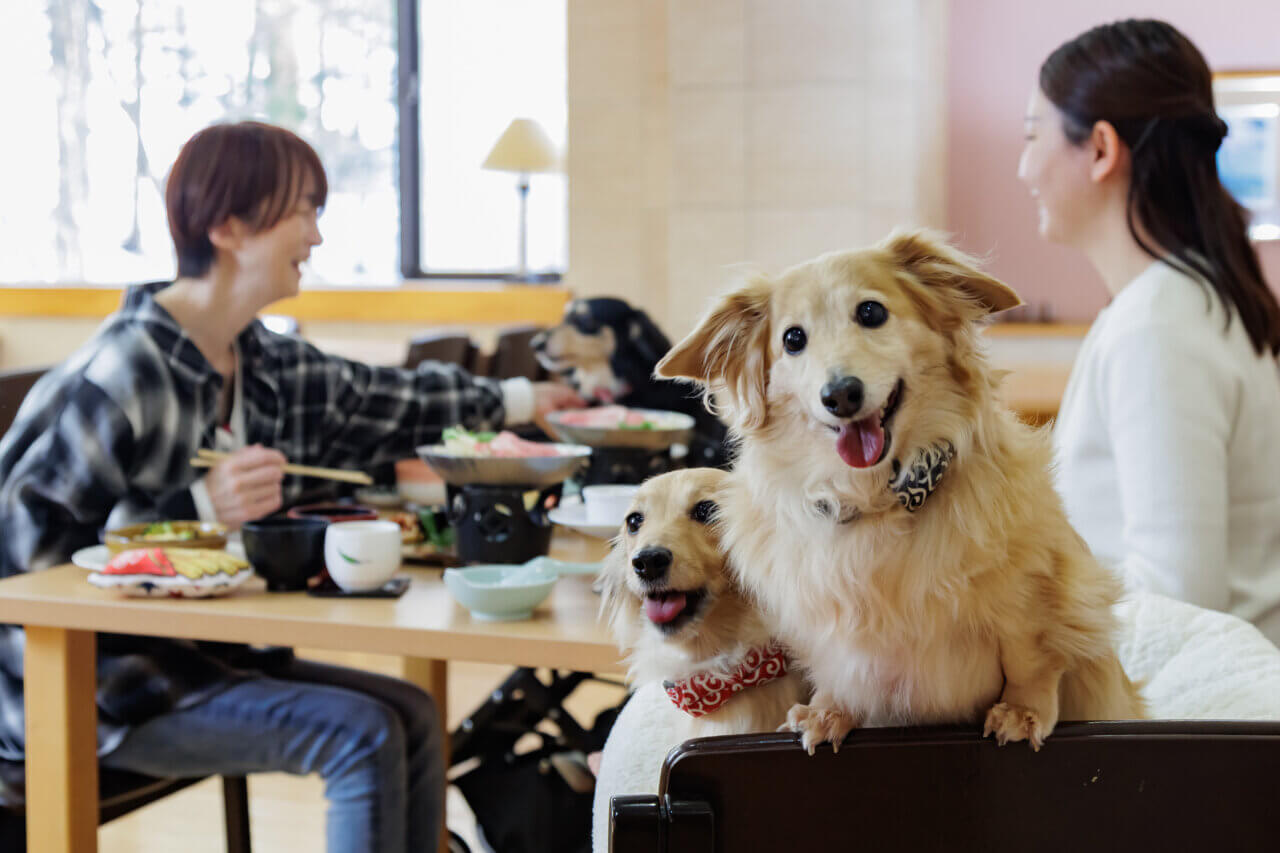 レストランも愛犬同伴OK