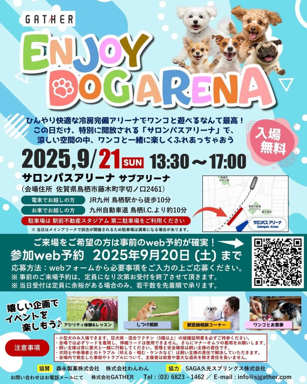 ENJOY DOG ARENA