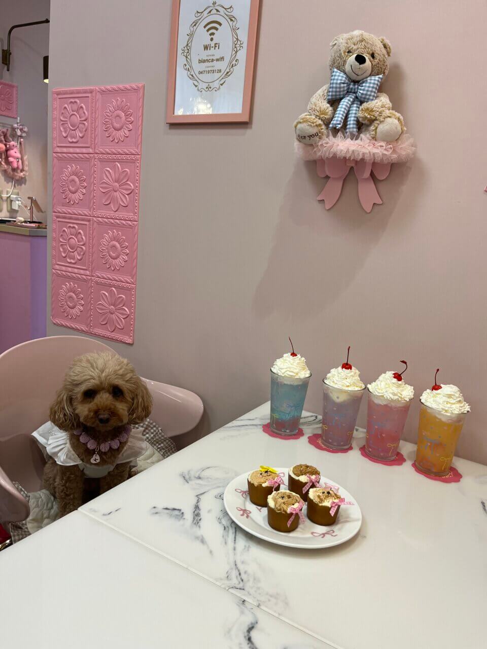 Bianca|姫cafeでラグジュアリー空間&スイーツ【千葉・柏の葉・犬同伴OK】