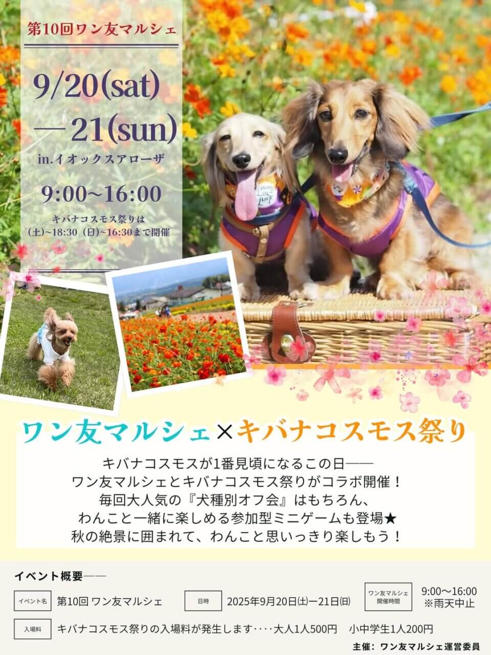 第10回ワン友マルシェのペットイベントのポスター画像
