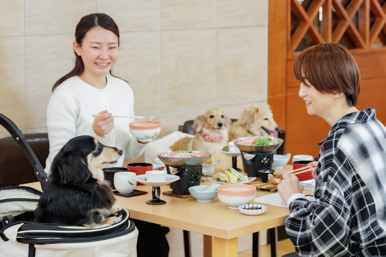 レストランも愛犬同伴OK