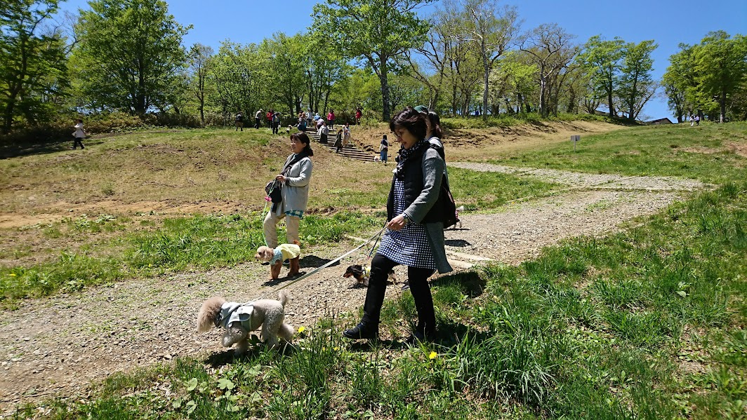 散歩